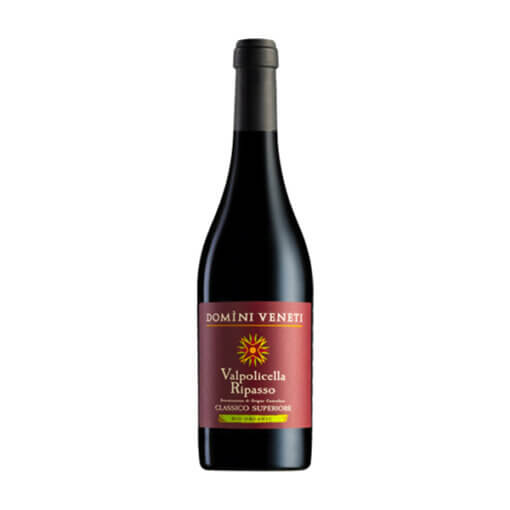 Domini Veneti - Valpolicella Ripasso DOC BIO